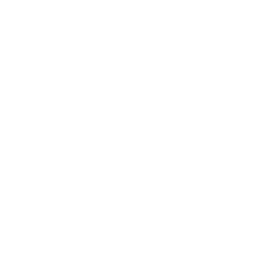 Microsoft Windows logo